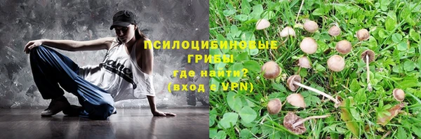 не бодяженный Белокуриха