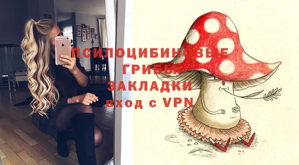 не бодяженный Белокуриха