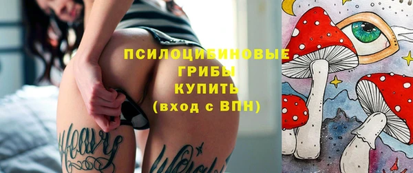не бодяженный Белокуриха