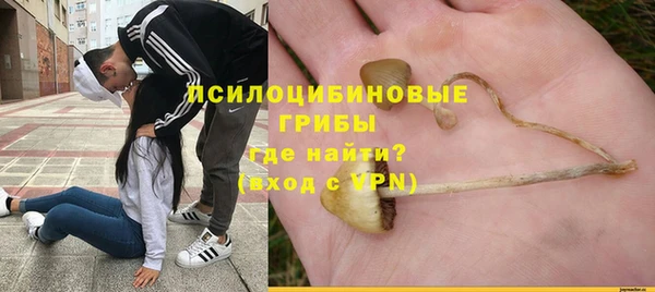 не бодяженный Белокуриха