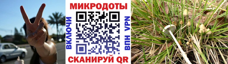 Галлюциногенные грибы мицелий  Пионерский 